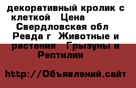 декоративный кролик с клеткой › Цена ­ 2 000 - Свердловская обл., Ревда г. Животные и растения » Грызуны и Рептилии   
